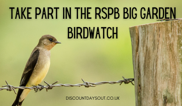 Take Part in the RSPB Big Garden Birdwatch
